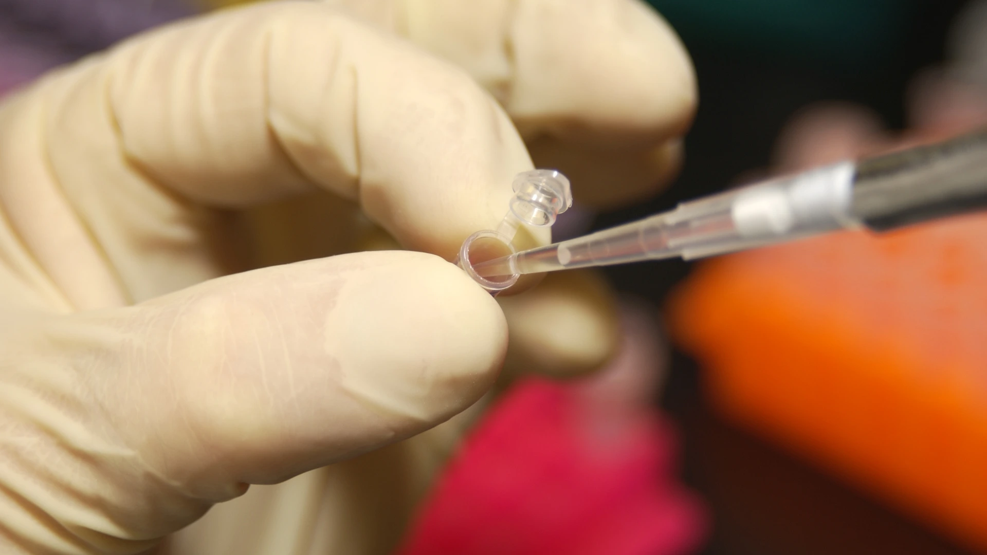 Gloved hands using a pipette with a microcentrifuge tube in an NHGRI genomics laboratory.